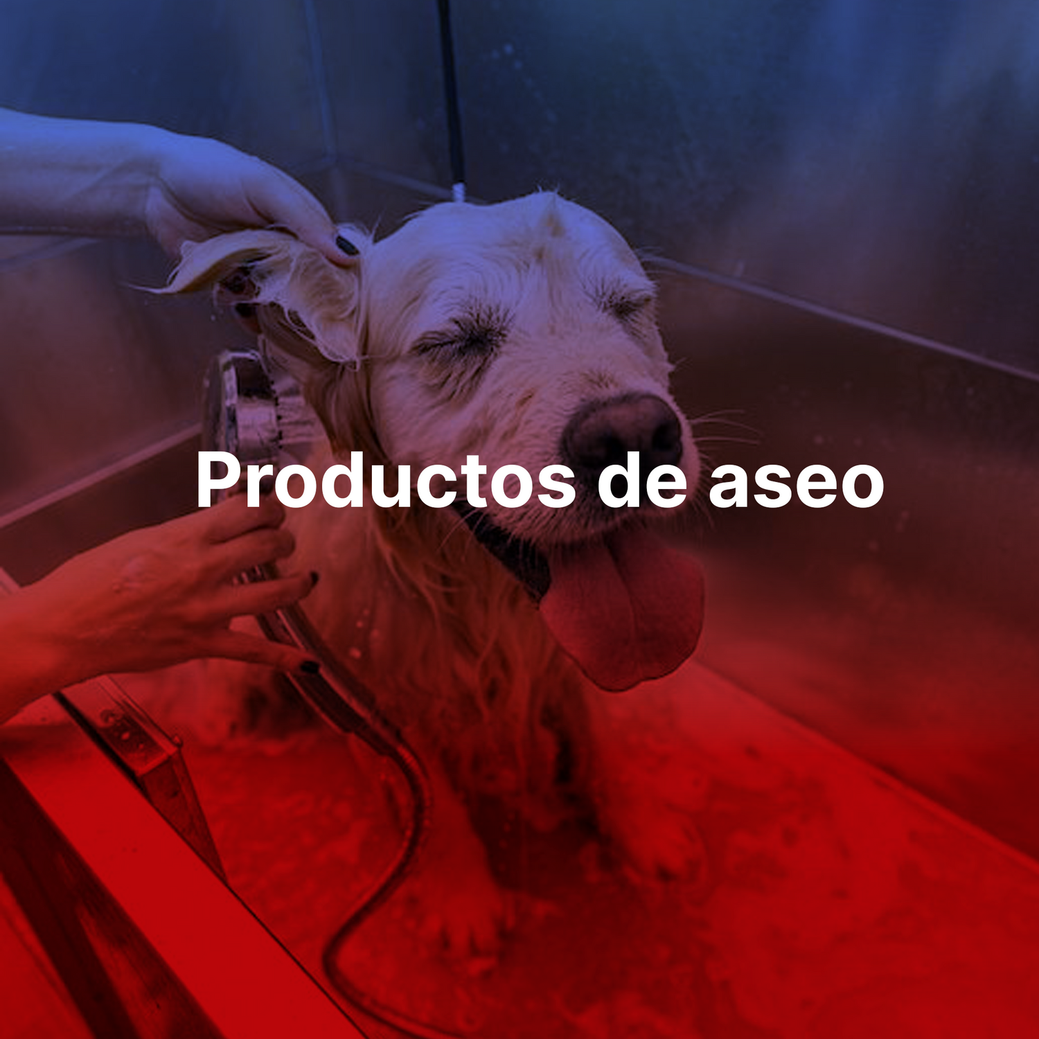 Productos de aseo